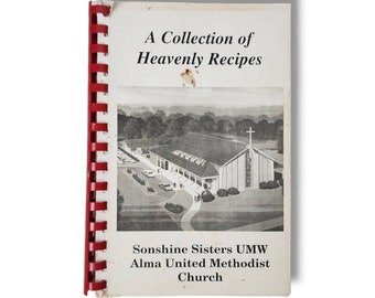 Alma Georgia Cookbook Sonshine Sisters UMW United Methodist Church Recipes VTG