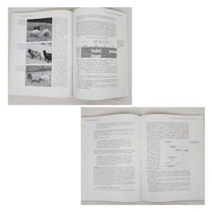 Black Sheep of Windermere : A History of the St Kilda or Hebridean Sheep Book image 11