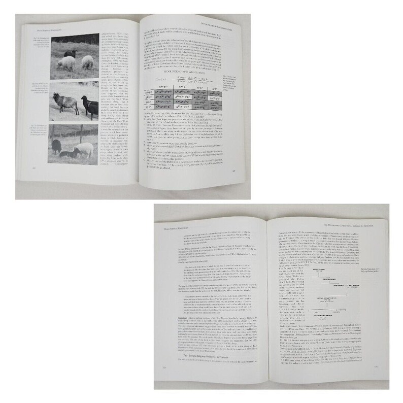 Black Sheep of Windermere : A History of the St Kilda or Hebridean Sheep Book image 11