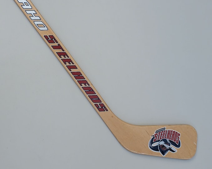 Idaho Steelheads Novelty Mini Hockey Stick Wall Hanger Display