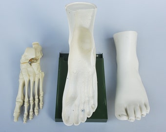 Merck Sharp and Dohme Decadron Pharmaceutical Advertising Doctors Foot Model - Vintage Benemid Indocin Foot Bone Cut Away Figure