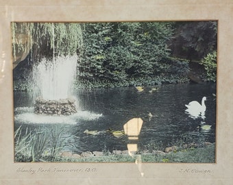 Photographie vintage teintée à la main du parc Stanley de Vancouver, Colombie-Britannique - Par J M Cowan - White Swan In Pond With Fountain - Art Shop Stamp