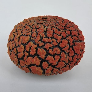 May include: A spherical object with a textured surface featuring a vibrant orange, cracked pattern over a deep black base. The exterior has a raised, uneven, and porous appearance, creating a distinct contrast between the bright orange segments and the dark, recessed lines that run throughout the entire rounded form.