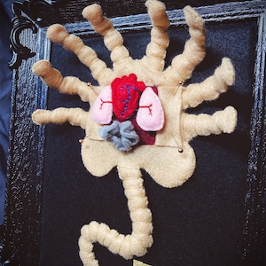 May include: A felt alien creature with a segmented body and multiple arms. The creature has a red heart, pink lungs, and a gray brain. The creature is pinned to a black background with a label that reads "House of Oddities, Dept. of Anatomy, Genus Alien Parasitrid".