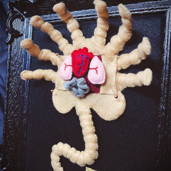 Facehugger - Felt Anatomy -  Biology, Aliens, Nostromo, Chest Burster, Gothic, Taxidermy, Dissected, Weird, DIY, Parasite, Ellen Ripley