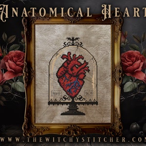 Campione di cuore anatomico n. 13 - Schema punto croce ~ Strega, Gotico, Stregoneria, Stranezza, Barattolo per campioni, Farmacista, Medico, Bizzarro