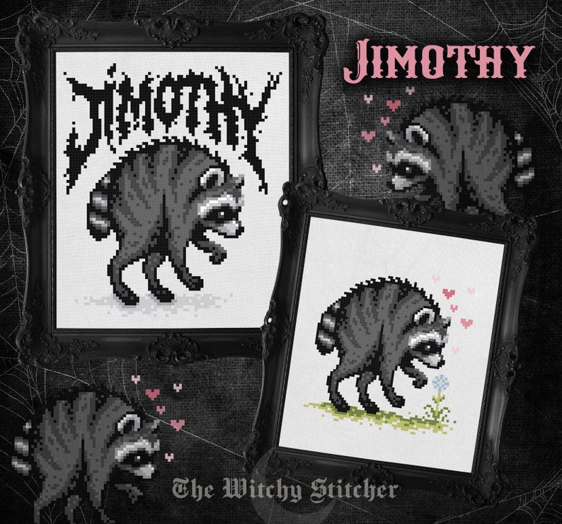 May include: Two framed cross-stitch patterns featuring a pixel art raccoon. One shows the raccoon with the text JIMOTHY in a black metal frame. The other shows the raccoon with a small flower and pink hearts in a black metal frame.