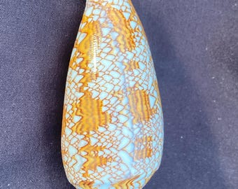 May include: A light blue and brown seashell with a intricate pattern. The shell is pointed at both ends and has a smooth, glossy finish.