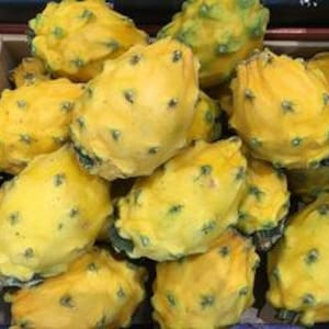 May include: A close-up shot of a wooden crate filled with yellow dragon fruit. The dragon fruit has a bumpy texture with green accents and a teardrop shape. The fruit is ripe and ready to eat.