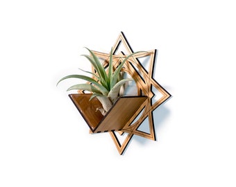 Air Plant Holder - Wall Hanging Planter / Mounted Display Plant Hanger // Geometric Handmade Wood Home Decor Plant Lover Gift Idea Star Art