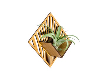 Air Plant Holder - Wall Hanging Planter - Mounted Plant Hanger Display / Handmade Wood Home Decor Plant Lover Gift Idea Wall Art Tillandsia