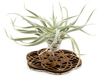Air Plant Holder - Desktop Planter / Unique Plant Display Stand // Sacred Geometry Wood Home Decor Table Shelf Desk Plant Lover Gift Idea