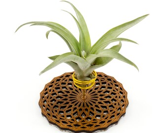 Air Plant Holder - Desktop Planter / Unique Plant Display Stand // Geometric Modern Wood Home Decor Table Shelf Desk Plant Lover Gift Idea