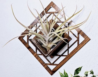 Air Plant Holder - Wall Hanging Planter / Mounted Display Plant Hanger // Geometric Handmade Wood Home Decor Plant Lover Gift Idea Diamond