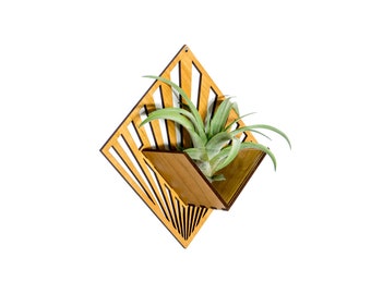 Air Plant Holder - Wall Hanging Planter - Mounted Plant Hanger Display / Handmade Wood Home Decor Plant Lover Gift Idea Wall Art Tillandsia