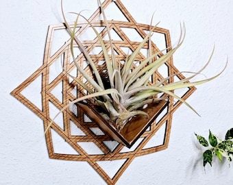 Air Plant Holder - Wall Hanging Planter / Mounted Display Plant Hanger // Geometric Handmade Wood Home Decor Plant Lover Gift Idea Wall Art