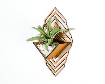 Air Plant Holder - Sconce Wall Planter / Wall Hanging Plant Mounted Hanger / Handmade Wood Home Decor Display Plant Lover Gift Idea Art (L)