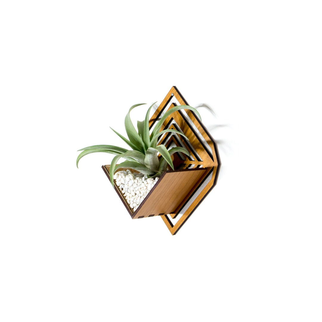 Air Plant Holder Sconce Wall Planter / Wall Hanging Plant Mounted