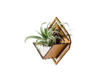 Air Plant Holder - Sconce Wall Planter / Wall Hanging Plant Mounted Hanger / Handmade Wood Home Decor Display Plant Lover Gift Idea Art (S)