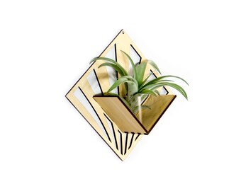 Air Plant Holder - Wall Hanging Planter - Mounted Plant Hanger Display / Handmade Wood Home Decor Plant Lover Gift Idea Wall Art Tillandsia