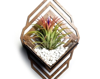 Air Plant Holder - Sconce Wall Planter / Wall Hanging Plant Mounted Hanger / Handmade Wood Home Decor Display Plant Lover Gift Idea Art (M)