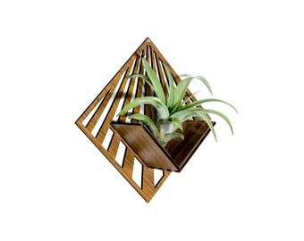 Air Plant Holder - Wall Hanging Planter - Mounted Plant Hanger Display / Handmade Wood Home Decor Plant Lover Gift Idea Wall Art Tillandsia