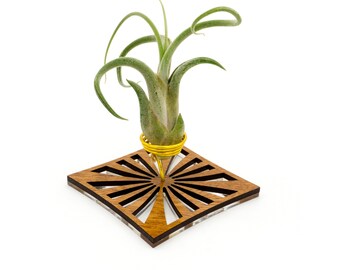 Air Plant Holder - Desktop Planter / Unique Plant Display Stand // Minimal Modern Wood Home Decor Table Shelf Desk Plant Lover Gift Idea Art