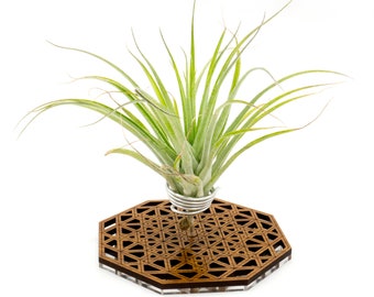 Air Plant Holder - Desktop Planter / Unique Plant Display Stand // Geometric Modern Wood Home Decor Table Shelf Desk Plant Lover Gift Idea