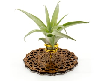 Air Plant Holder - Desktop Planter / Unique Plant Display Stand // Geometric Modern Wood Home Decor Table Shelf Desk Plant Lover Gift Idea