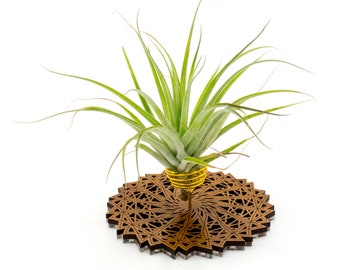 Air Plant Holder - Desktop Planter / Unique Plant Display Stand // Geometric Modern Wood Home Decor Table Shelf Desk Plant Lover Gift Idea