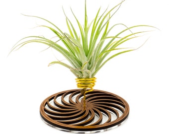 Air Plant Holder - Desktop Planter / Unique Plant Display Stand // Geometric Spiral Wood Home Decor Table Shelf Desk Plant Lover Gift Idea