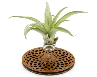 Air Plant Holder - Desktop Planter / Unique Plant Display Stand // Geometric Modern Wood Home Decor Table Shelf Desk Plant Lover Gift Idea