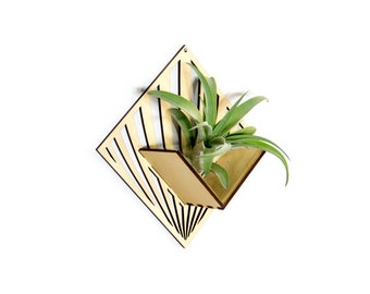 Air Plant Holder - Wall Hanging Planter - Mounted Plant Hanger Display / Handmade Wood Home Decor Plant Lover Gift Idea Wall Art Tillandsia