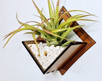 Air Plant Holder - Wall Hanging Planter / Mounted Display Plant Hanger // Handmade Wood Home Decor Plant Lover Gift Idea Living Wall Art