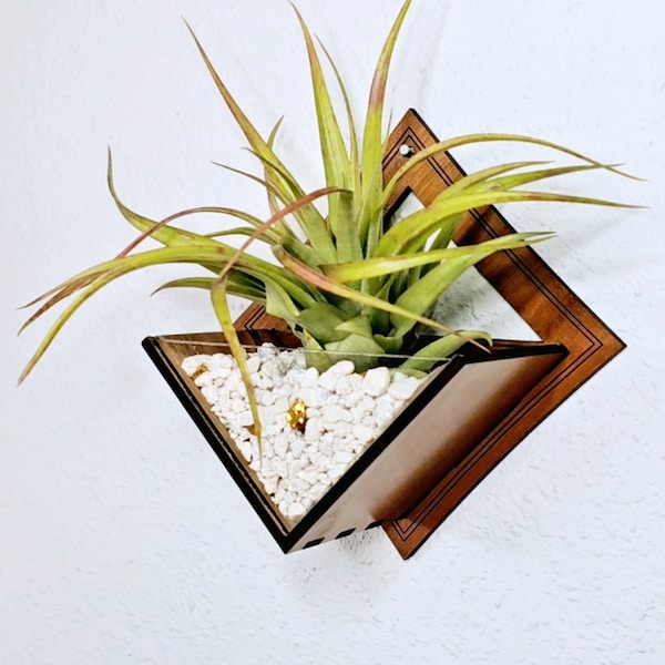 Air Plant Holder - Wall Hanging Planter / Mounted Display Plant Hanger // Handmade Wood Home Decor Plant Lover Gift Idea Living Wall Art