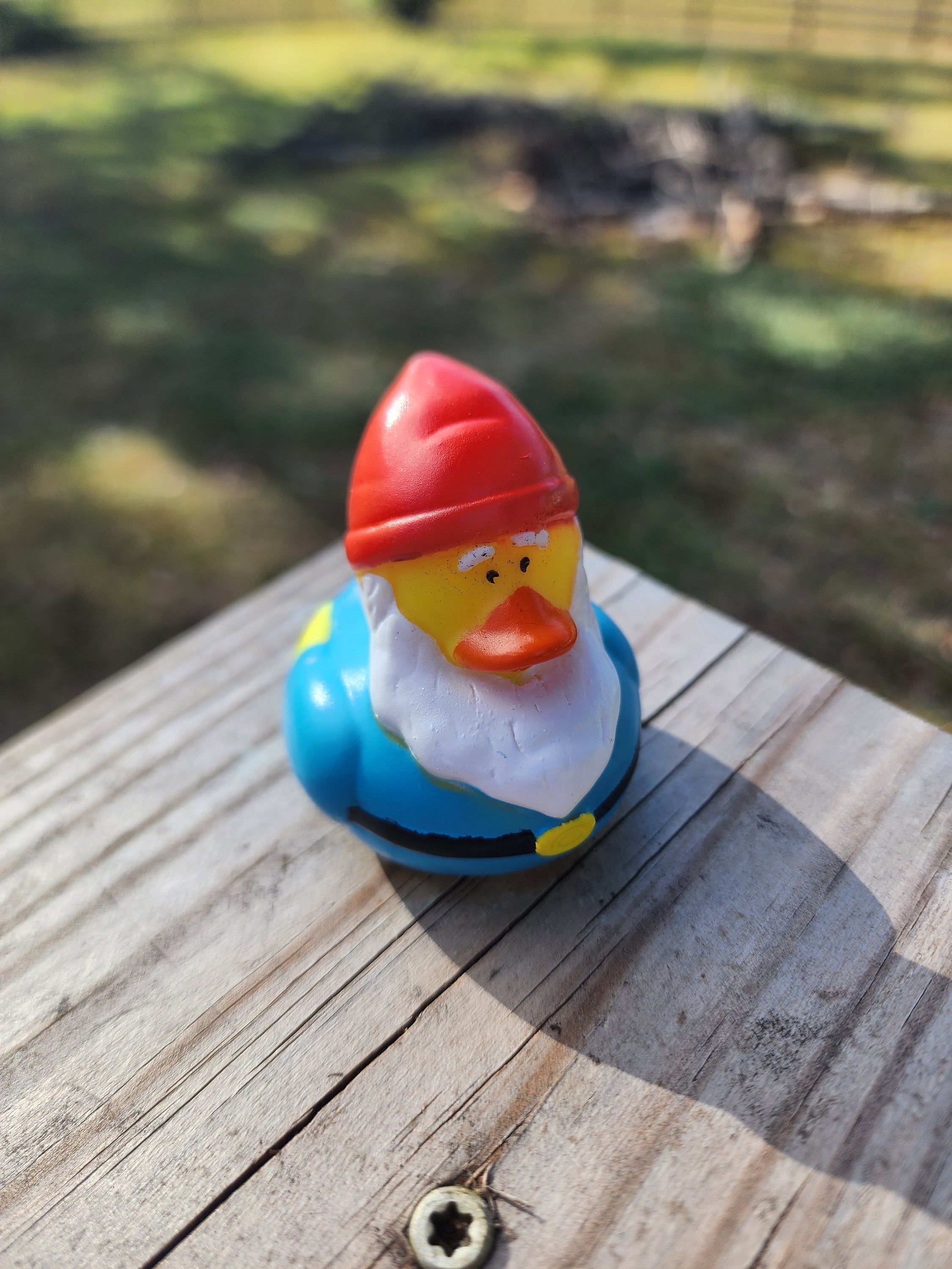Gnome Rubber Duck: Springtime Desk Toy, Garden Decor - Etsy