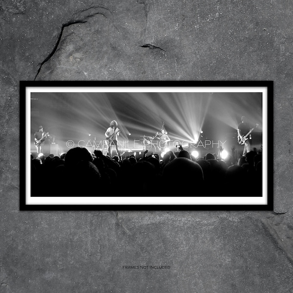 Soundgarden Art Photography, Chris Cornell Art Photography, Concert Art Photography, Photography Prints, Wall Art, Art Prints, Rock and Roll