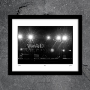 Bad Religion Art Photography, Concert Photography, Punk Rock Photography, Sea Hear Now Photography, Photography Prints, Wall Art, Art Prints