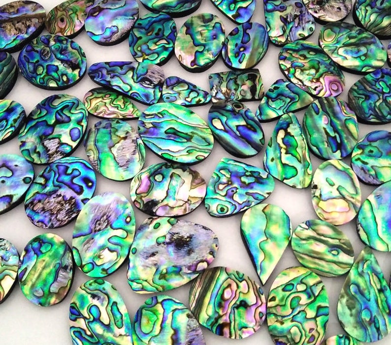 Abalone Shell Cabochon Abalone Stone Wholesale Lot Gems Etsy