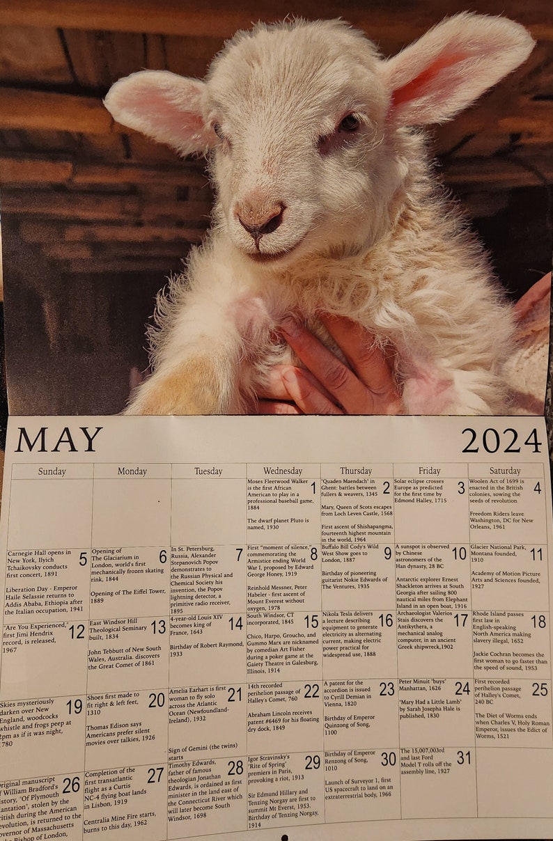 2024 Sheep Calendar Etsy