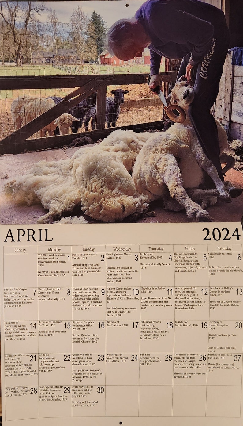 2024 Sheep Calendar Etsy