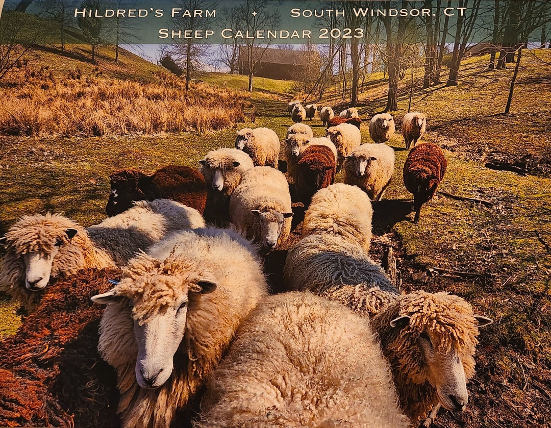 2023 Sheep Calendar Etsy