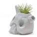 Nausicaa Ghibli art, the "God-warrior" skull ruins in vase form