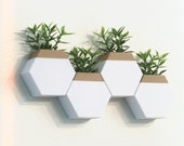 Modern hexagon wall planter decor set with artificial plants
