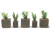 Rustic barn wood planter set with artificial plants, for farmhouse or mantel decor