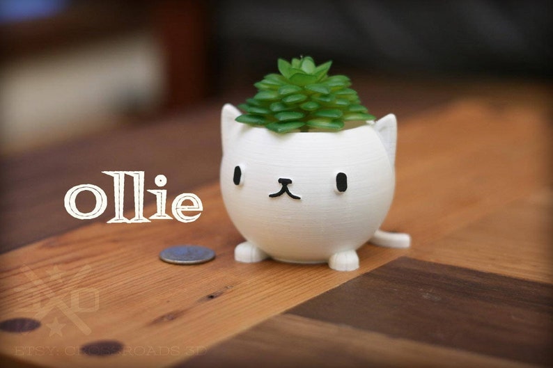 Cat planter pot for cactus succulents or air plants A neko ...