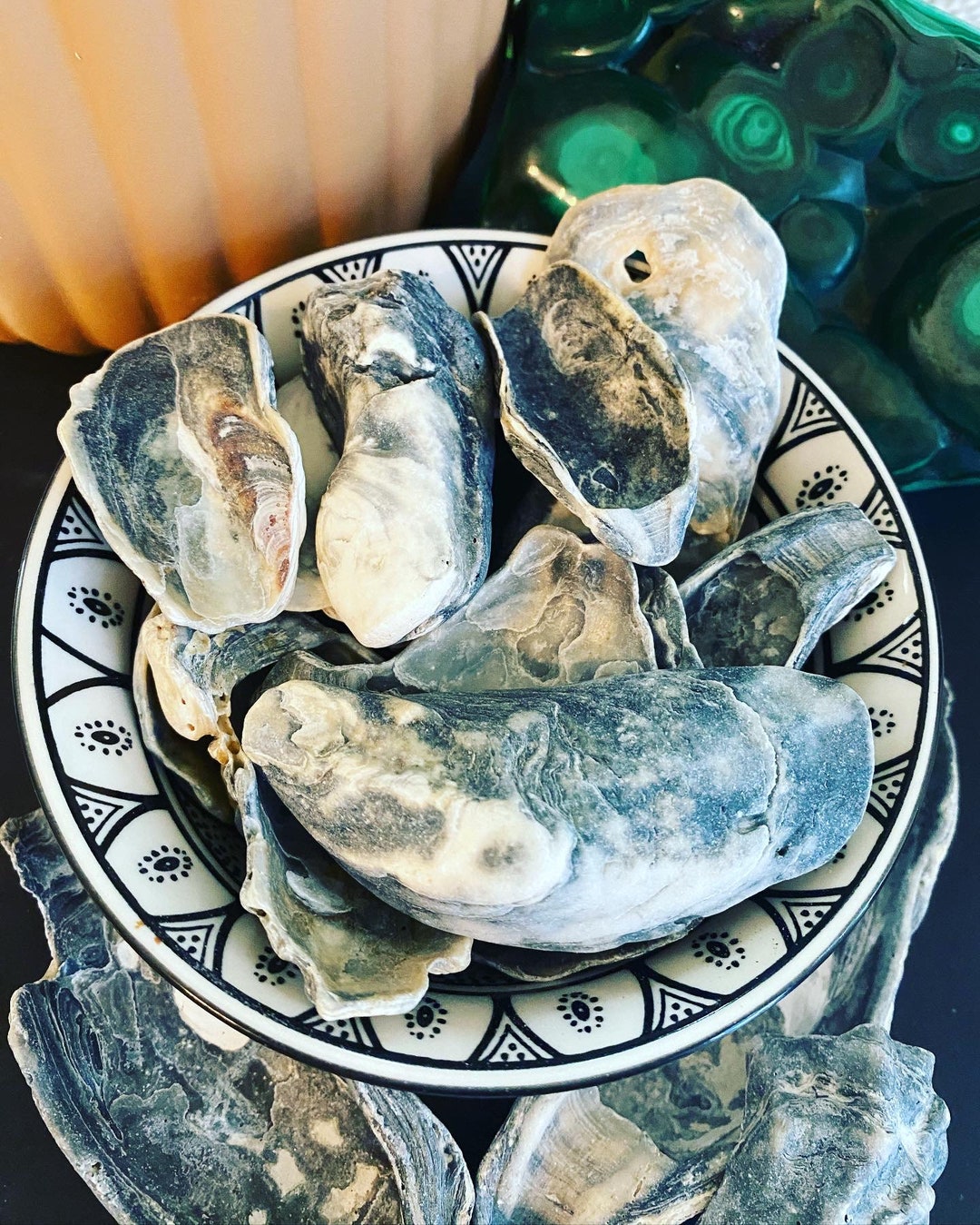 Natural Black Oyster Shell - Etsy