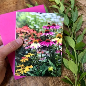 Floral notecards with envelopes, Echinacea, Colorful pink blank notecards, Set of 8, Stationery set, Floral greeting card set, Gardener gift image 2