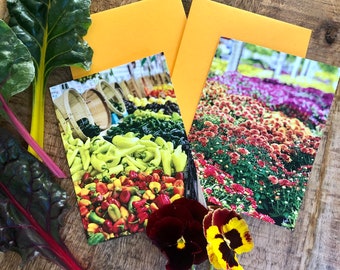 Harvest notecards with envelopes, Fall Garden, Colorful garden blank notecards, Set of 8, Stationery set, Greeting card set, Gardener gift