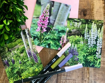 Lupine notecards with envelopes, Pastel Floral, Colorful garden blank notecards, Set of 9, Plant cards, Greeting cards, Gardener gift